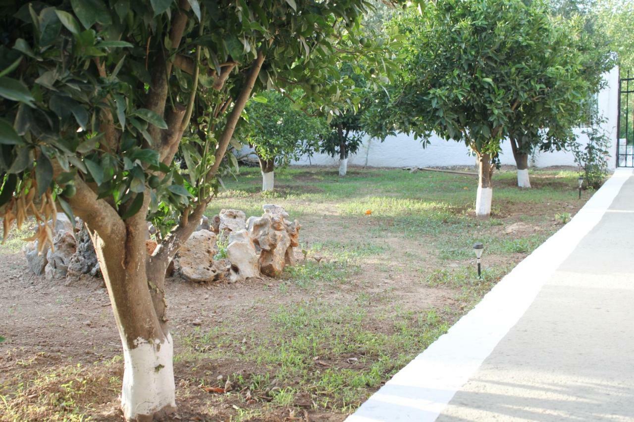 Villa Elias Maro House Avdou Exterior foto
